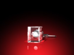 Fuchs - Schluesselanhaenger_LED_quer_einzeln_Seite_80
